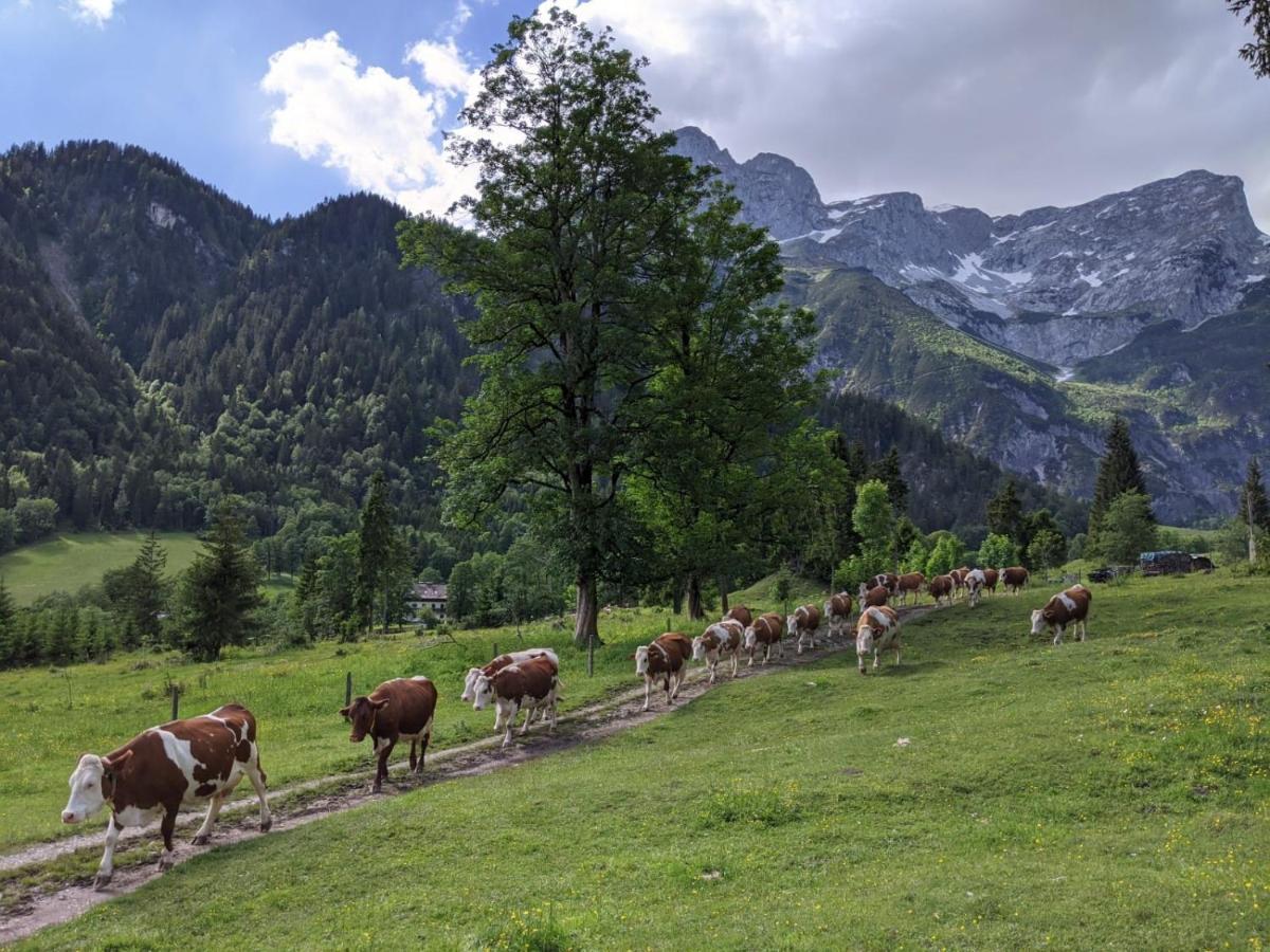 Bio Bauernhof Vorderoberlehen Ξενοδοχείο Werfenweng Εξωτερικό φωτογραφία