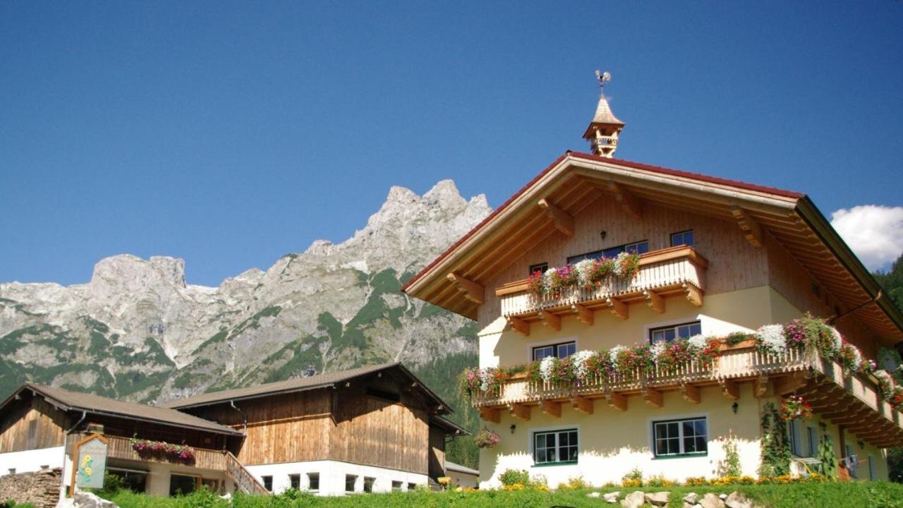 Bio Bauernhof Vorderoberlehen Ξενοδοχείο Werfenweng Εξωτερικό φωτογραφία