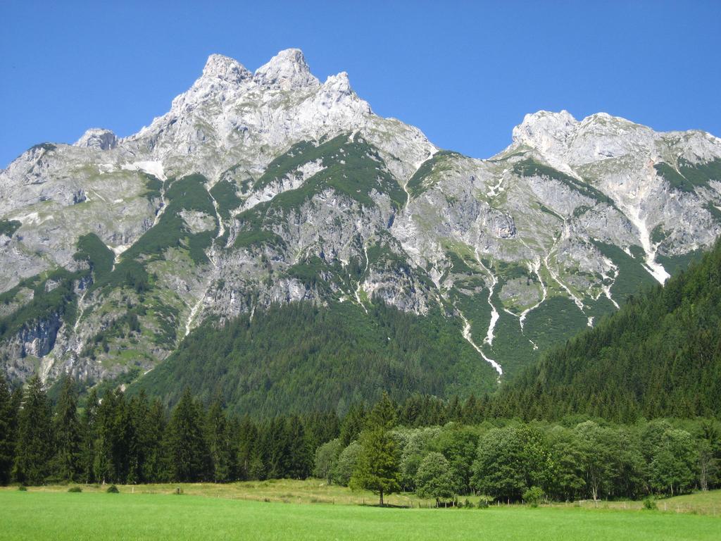 Bio Bauernhof Vorderoberlehen Ξενοδοχείο Werfenweng Εξωτερικό φωτογραφία