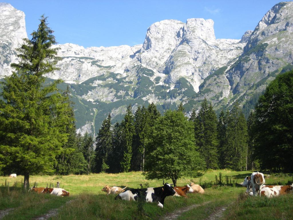 Bio Bauernhof Vorderoberlehen Ξενοδοχείο Werfenweng Εξωτερικό φωτογραφία